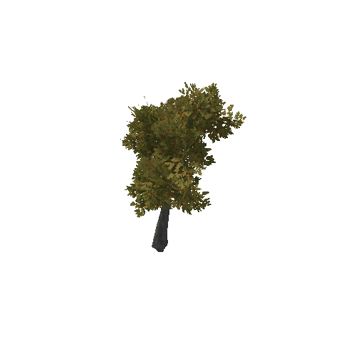 HVR Tree V02 T03 C02